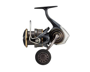 Daiwa 22 Caldia SW